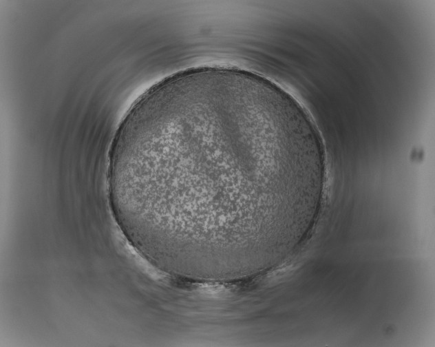 X0000113240799200909241545