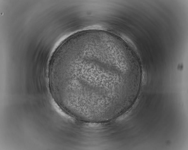 X0000113240800200909241545