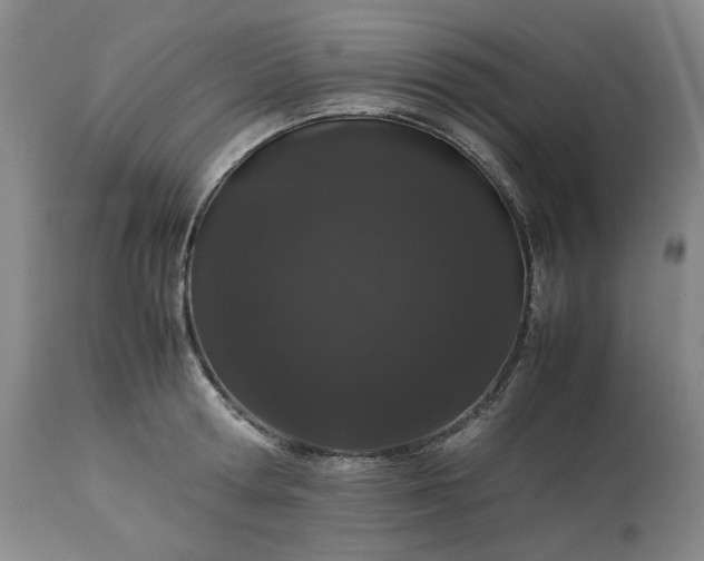 X0000113240802200909241545