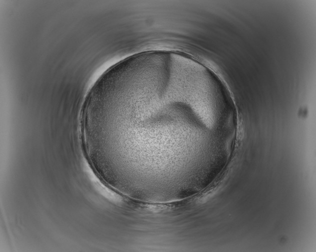 X0000113240803200909241545