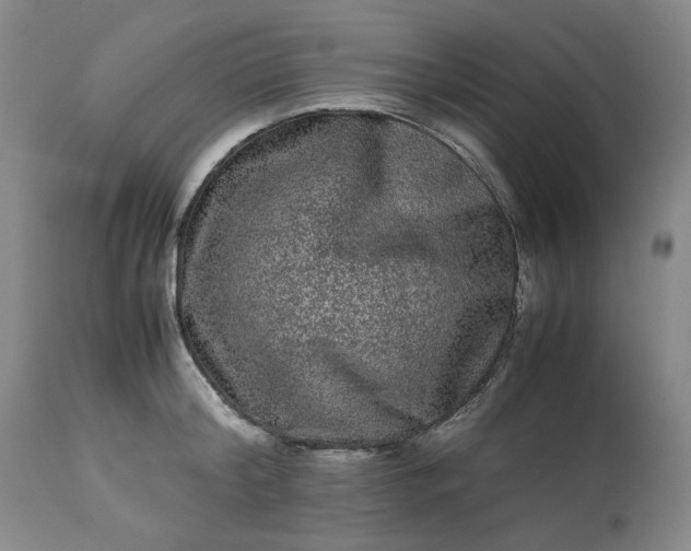 X0000113240804200909241545