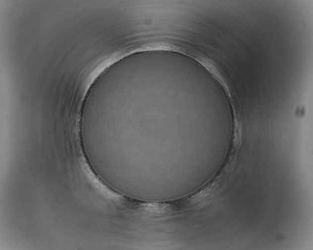 X0000113240805200909241545