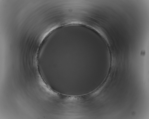 X0000113240806200909241545