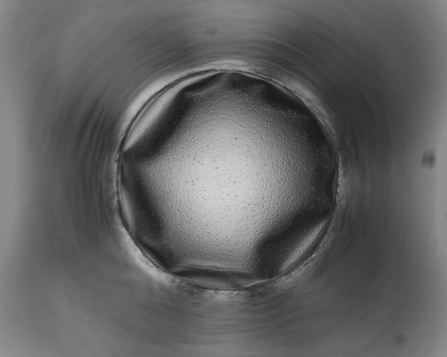 X0000113240808200909241545