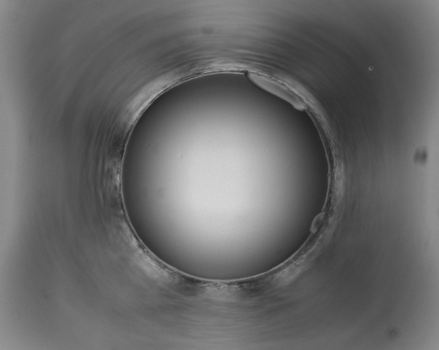 X0000113240809200909241545