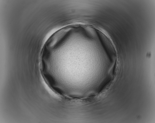 X0000113240811200909241545