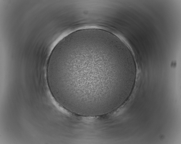 X0000113240813200909241545