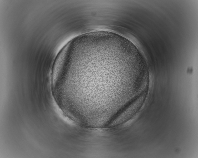 X0000113240814200909241545