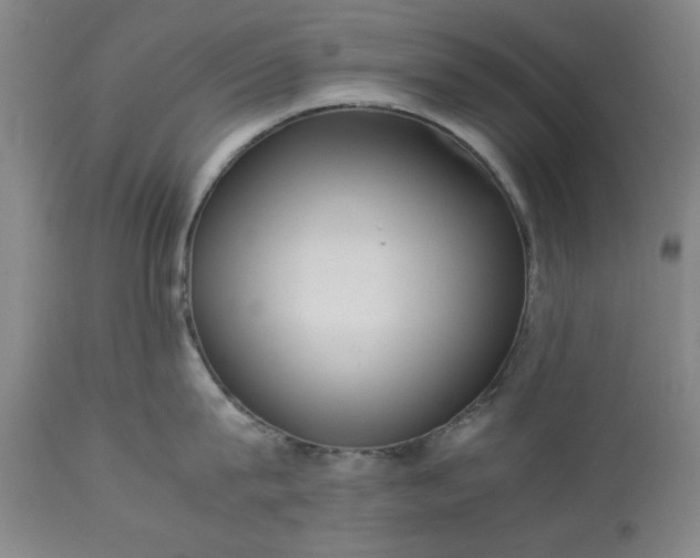 X0000113240815200909241545