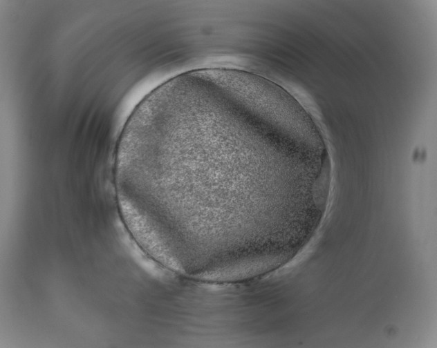 X0000113240816200909241545