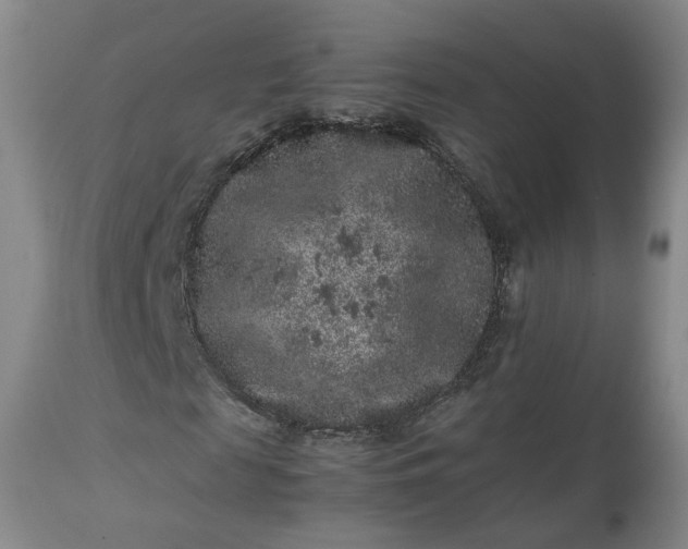 X0000113240817200909241544