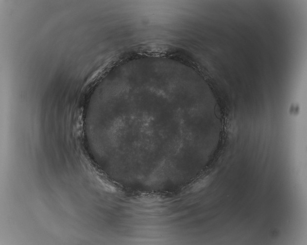 X0000113240818200909241544