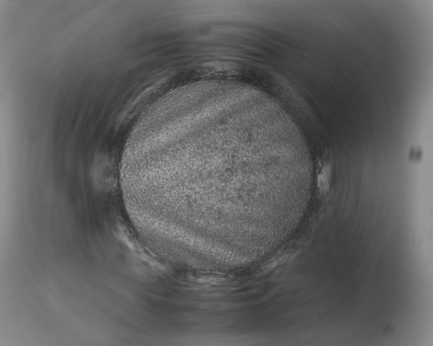 X0000113240819200909241544