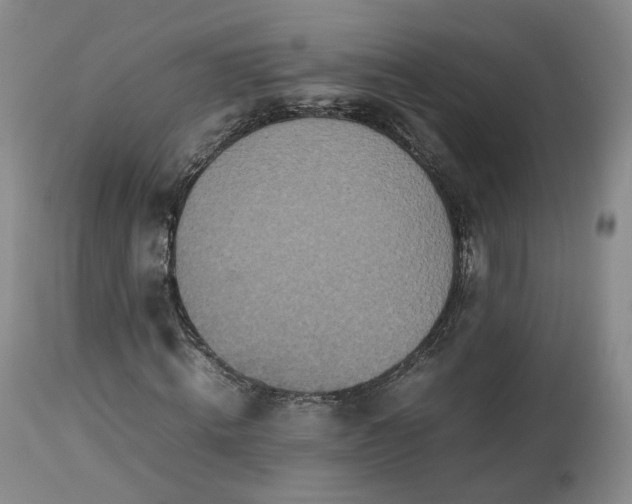 X0000113240820200909241544