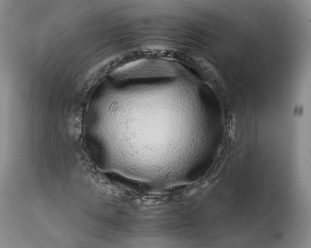 X0000113240821200909241544