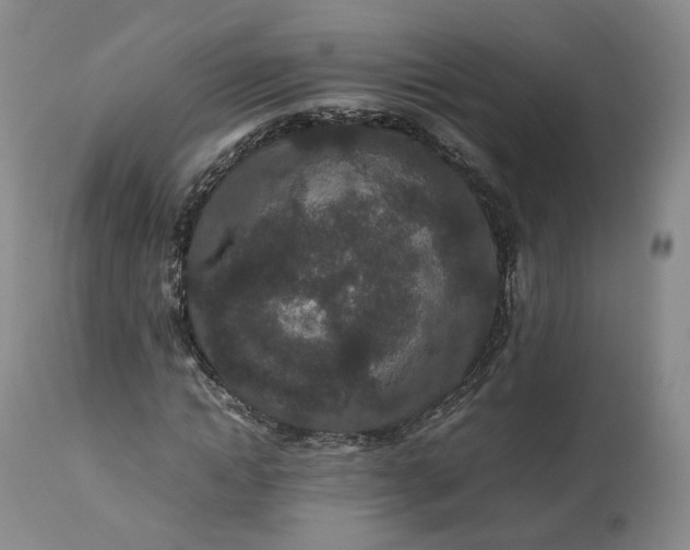 X0000113240822200909241544