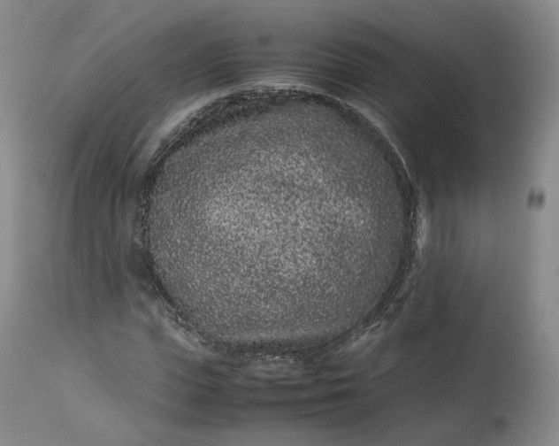 X0000113240823200909241544