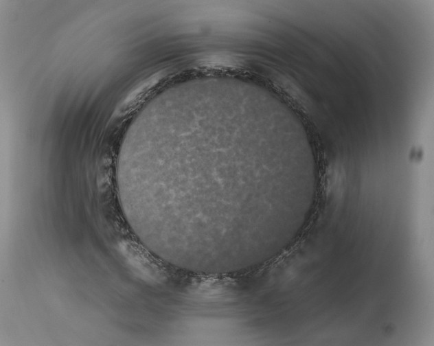 X0000113240824200909241544