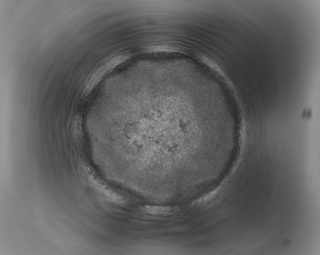 X0000113240825200909241544