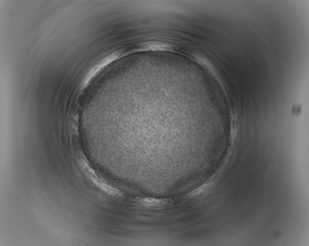 X0000113240827200909241544