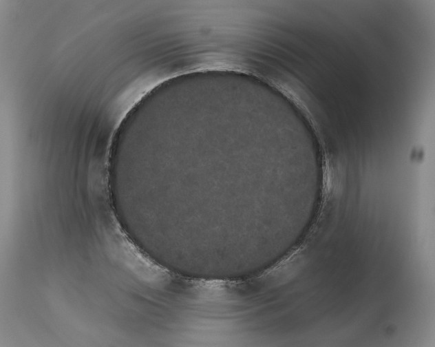 X0000113240828200909241544