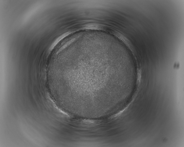 X0000113240829200909241544