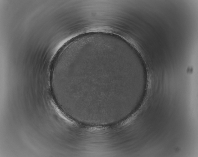 X0000113240830200909241544