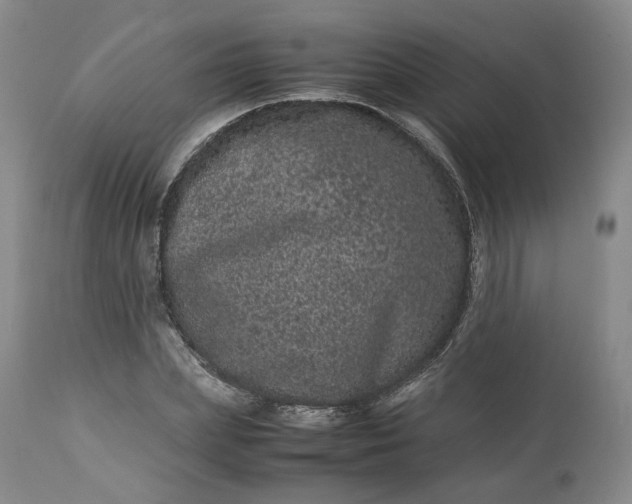 X0000113240831200909241544