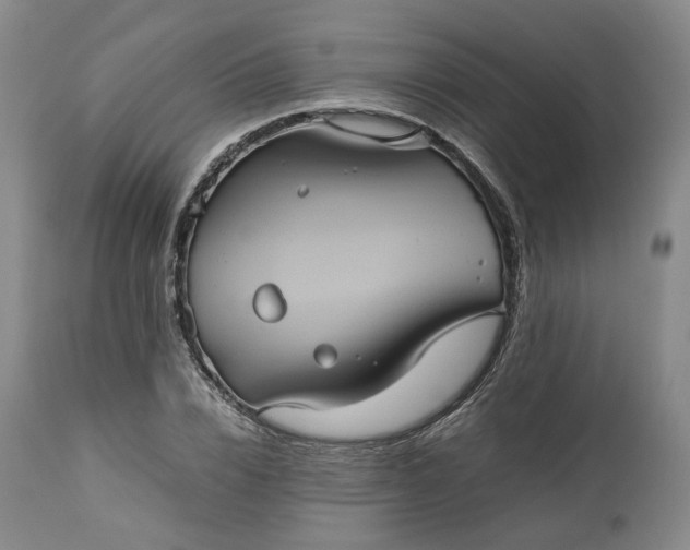 X0000113240832200909241544