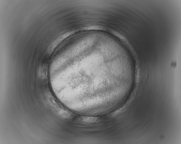 X0000113240833200909241544