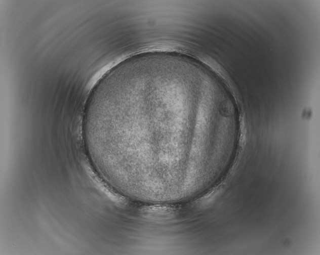 X0000113240834200909241544