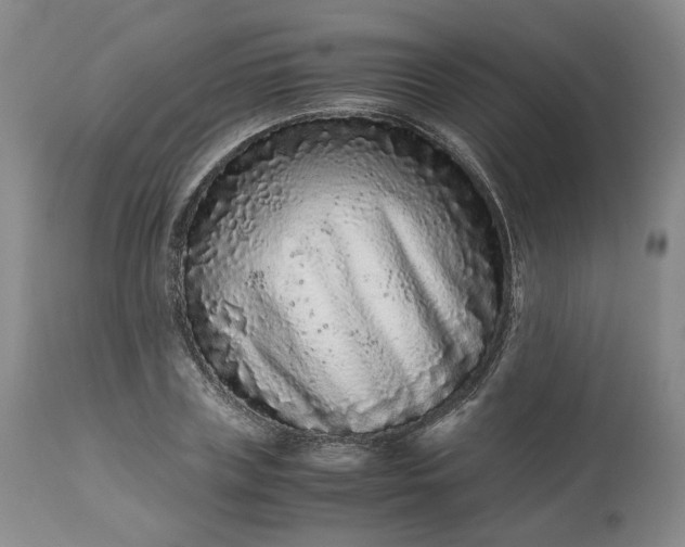 X0000113240835200909241544