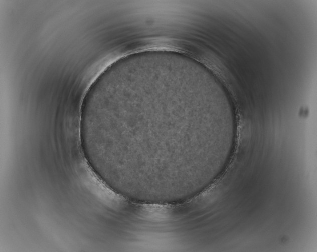 X0000113240836200909241544