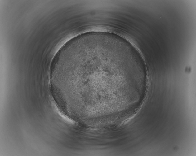 X0000113240837200909241544