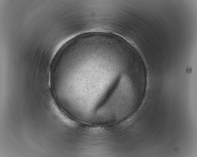 X0000113240838200909241544