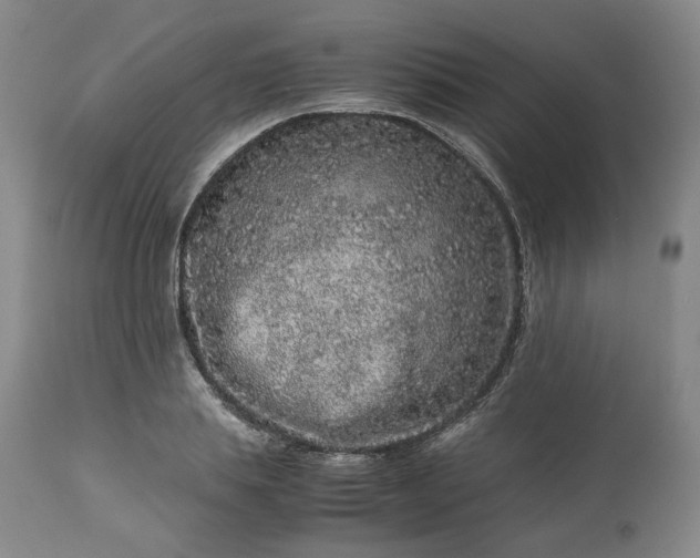 X0000113240839200909241544