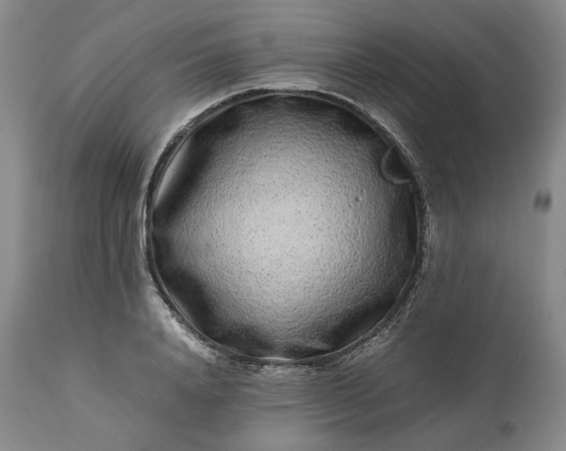 X0000113240840200909241544