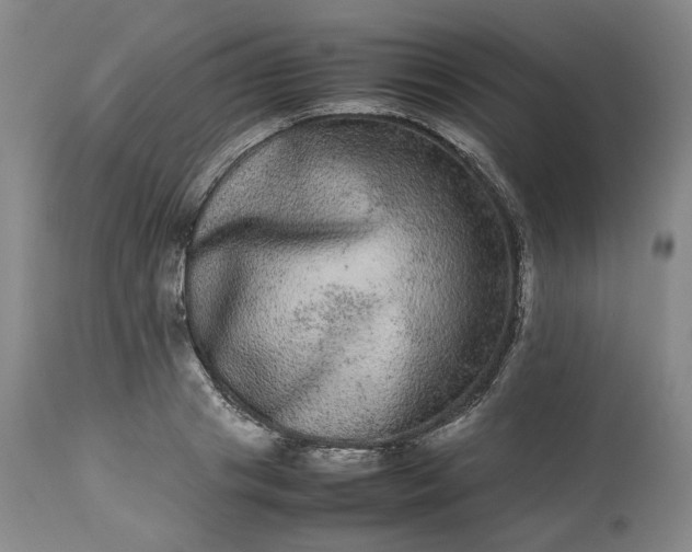 X0000113240841200909241544