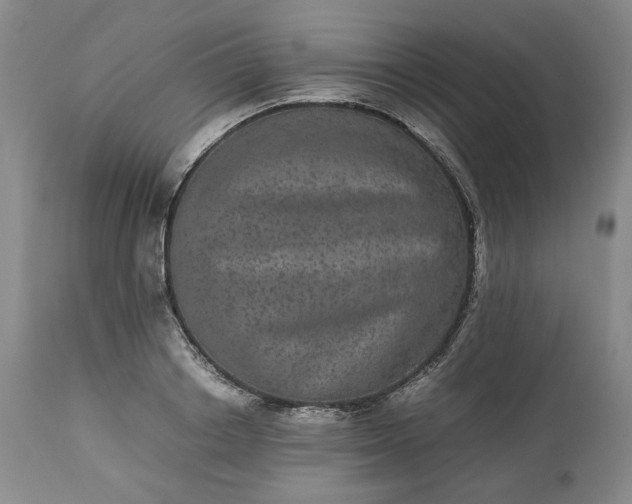 X0000113240842200909241544