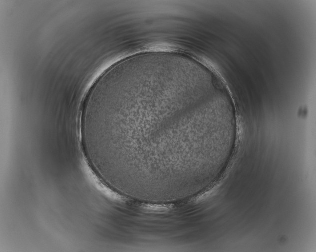 X0000113240843200909241544