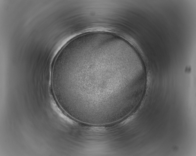 X0000113240844200909241544