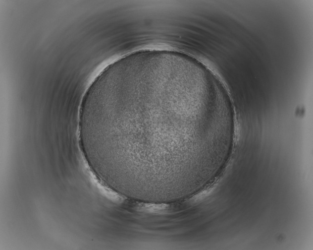 X0000113240845200909241544