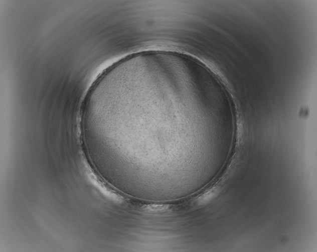 X0000113240846200909241544