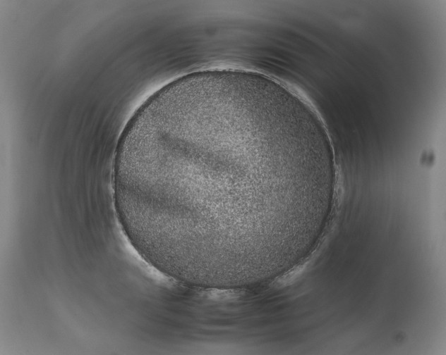 X0000113240847200909241544