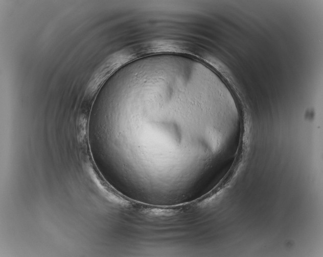 X0000113240849200909241544