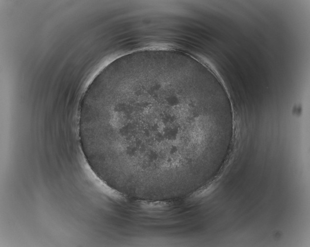 X0000113240851200909241544