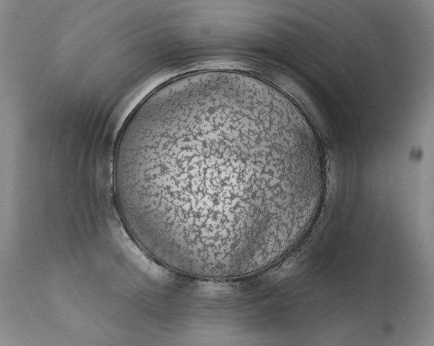 X0000113240852200909241544