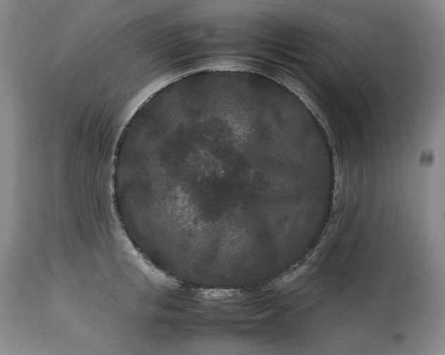 X0000113240853200909241544