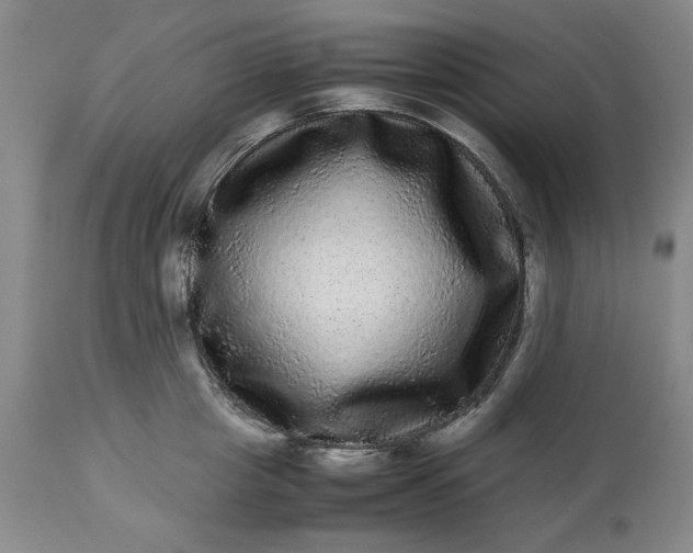 X0000113240857200909241544