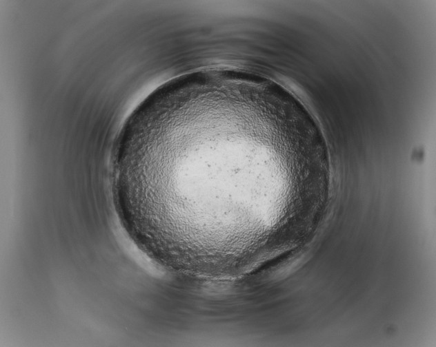 X0000113240859200909241544